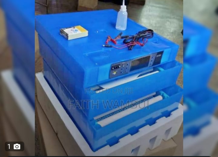 64 Eggs Incubator
