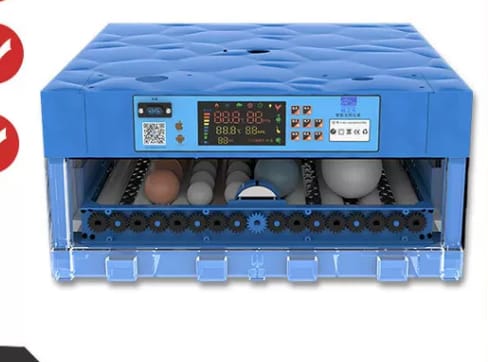 64 Eggs Incubator